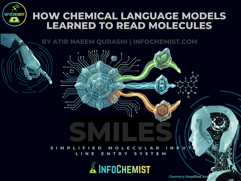 How Chemical Language Models Learned to Read Molecules